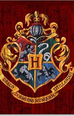 Things Hogwarts Houses Say