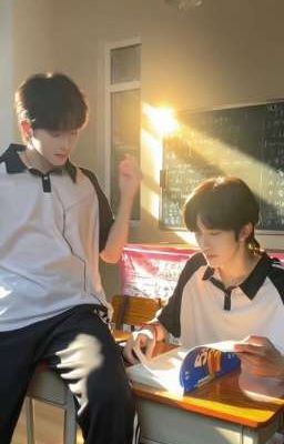 [Thịnh Thiếu Du x Hoa Vịnh] Lời hứa dưới tán phượng vĩ