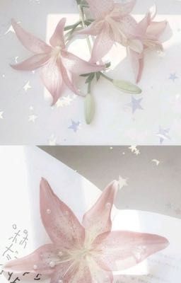 Thỏ Con