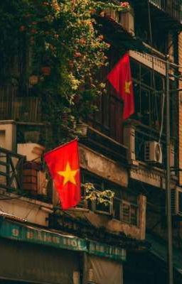 [ Thỏ Thơm ] CHỜ CƠM