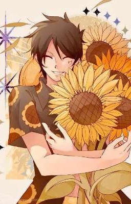 《Thời Khắc Chứng Kiến: Dấu Vết Của Luffy Mũ Rơm》