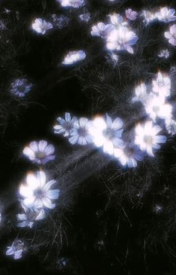 [Thời Quang - Shiguang] - Bình Yên