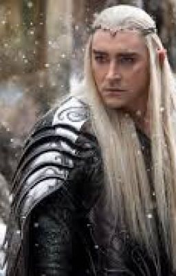 Thranduil x reader | paralyzed elleth