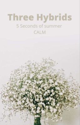 Three Hybrids; 5sos/CALM