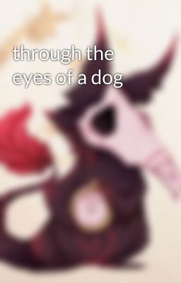 through the eyes of a dog