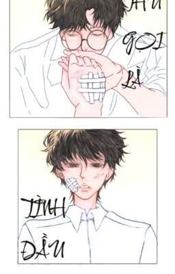 Thứ Gọi Là Tình Đầu