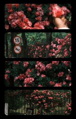 Thức Giấc [marhoon]