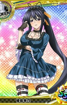 Thunder Love and Priestess  (Akeno X Reader)