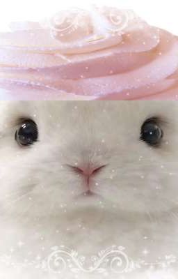 Thương chồng 