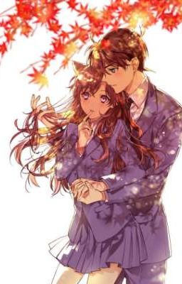 Thượng Tá tha cho em !!! (ShinRan)