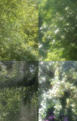 thủy tiên./cheolhan/