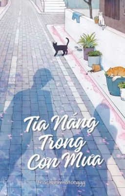 Tia Nắng Trong Cơn Mưa