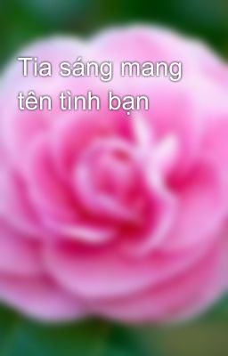 Tia sáng mang tên tình bạn 