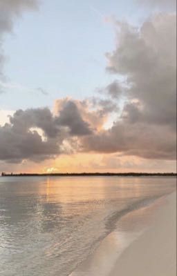 tianshan | chẳng có cơn đau nào