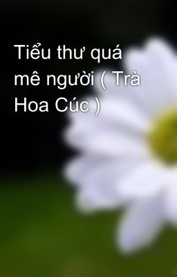 Tiểu thư quá mê người ( Trà Hoa Cúc )