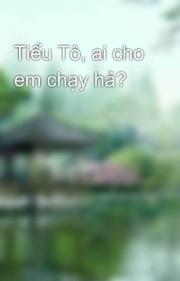 Tiểu Tô, ai cho em chạy hả?