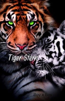 Tiger Stern.Boy x Boy.