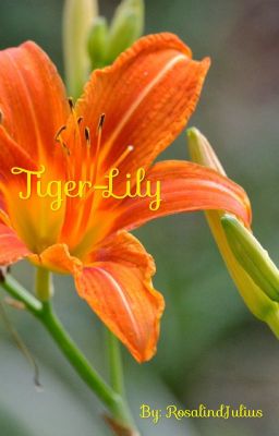 TigerLily 