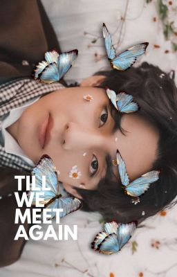 Till We Meet Again | kth [✓]