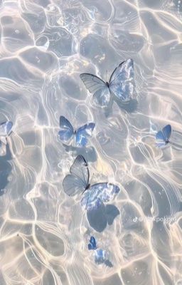   Tìm Được Rồi    <Hoa Vịnh Cao Đồ fanfic>