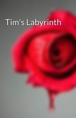 Tim's Labyrinth