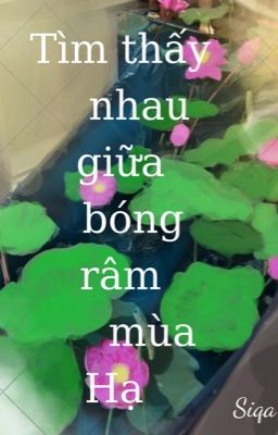 Tìm thấy nhau giữa bóng râm mùa Hạ