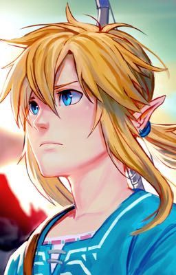 Timeless botw link x reader