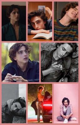 Timothée Chalamet x Reader