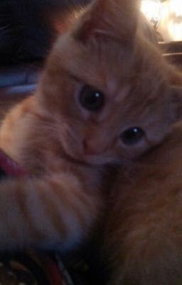 Tín hiệu yêu | Sơn.K x Vương Bình