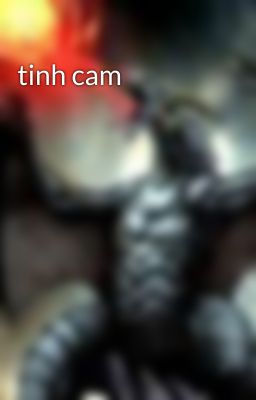 tinh cam