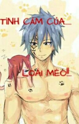 TÌNH CẢM CỦA LOÀI MÈO!... (Jerza) [Shortfic] {SE} Full