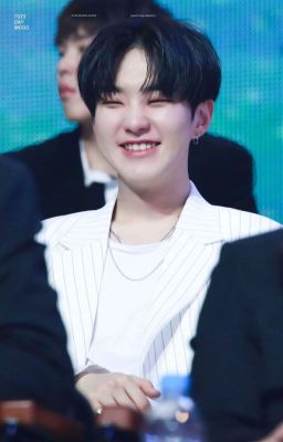 Tình Cờ gặp anh(Hoshi×Fanficgirl)