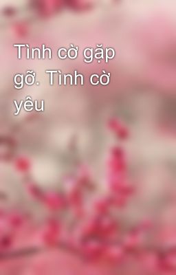 Tình cờ gặp gỡ. Tình cờ yêu