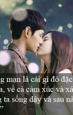 Tình đầu cũng là tình cuối của tôi