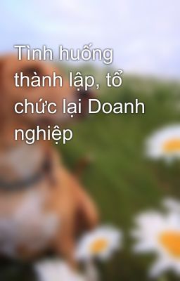 Tình huống thành lập, tổ chức lại Doanh nghiệp