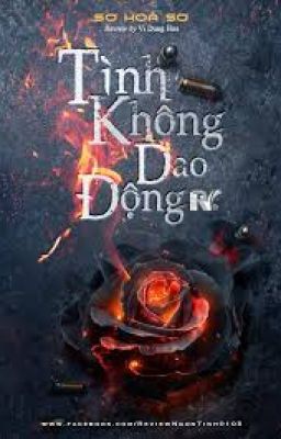 Tình Không Dao Động - Sơ Hòa Sơ