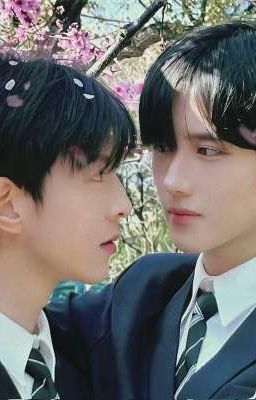 [Tinh Kiệt/Oneshort] Bắt Nạt 