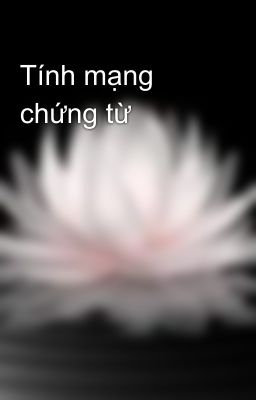 Tính mạng chứng từ