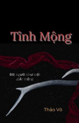 Tỉnh Mộng