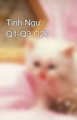 Tinh Ngự Q1-Q3 C20