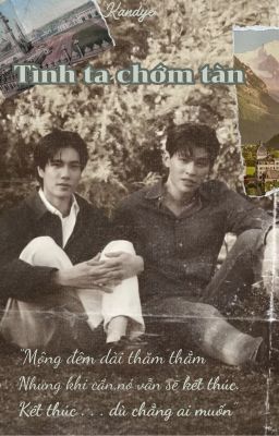 Tình ta chớm tàn