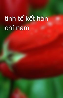 tinh tế kết hôn chỉ nam