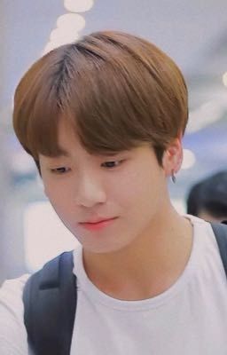 Tình yêu giữa Fan và Idol ( JUNGKOOK x Y/N )