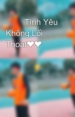 🌻🐝 Tình Yêu Không Lối Thoát❤❤