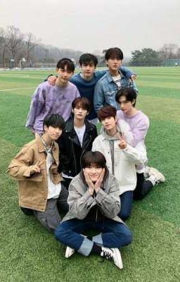 Tình Yêu Kiểu Hành Hạ!? //Allbangchan//