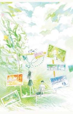 Tình Yêu Ở Trạm Chờ Cuối Cùng