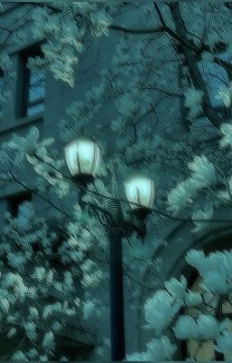 -TinhKiet-