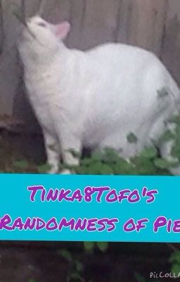 Tinka8Tofo's Randomness of Pie