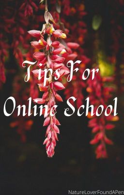 Tips For Online School