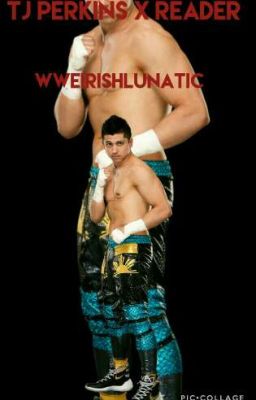 tj Perkins x reader